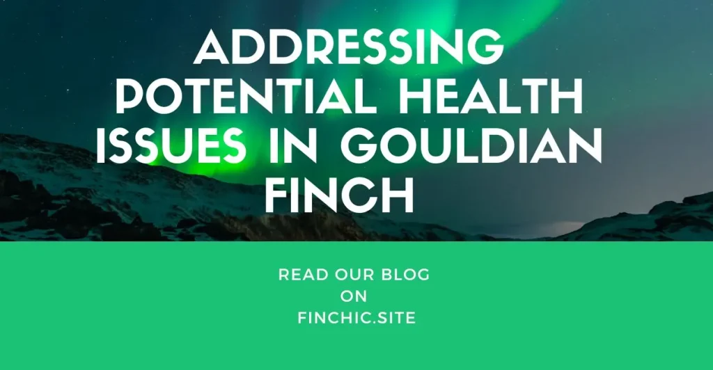 Addressing Potential Health Issues in Gouldian Finch