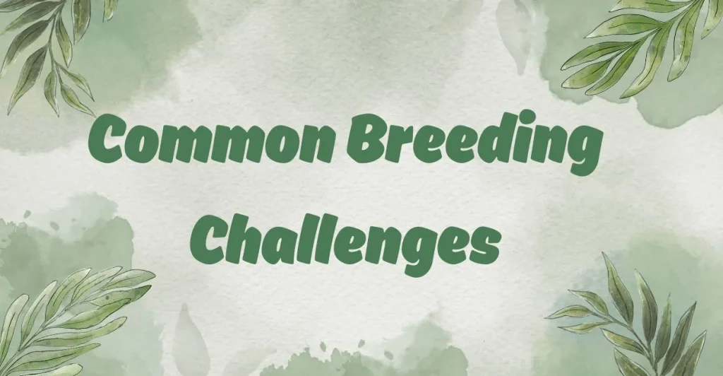 Common Breeding Challenges