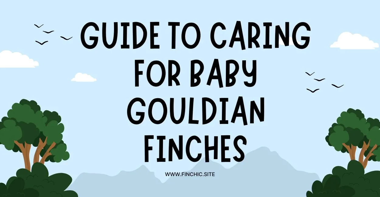 The Ultimate Guide to Caring for Baby Gouldian Finches