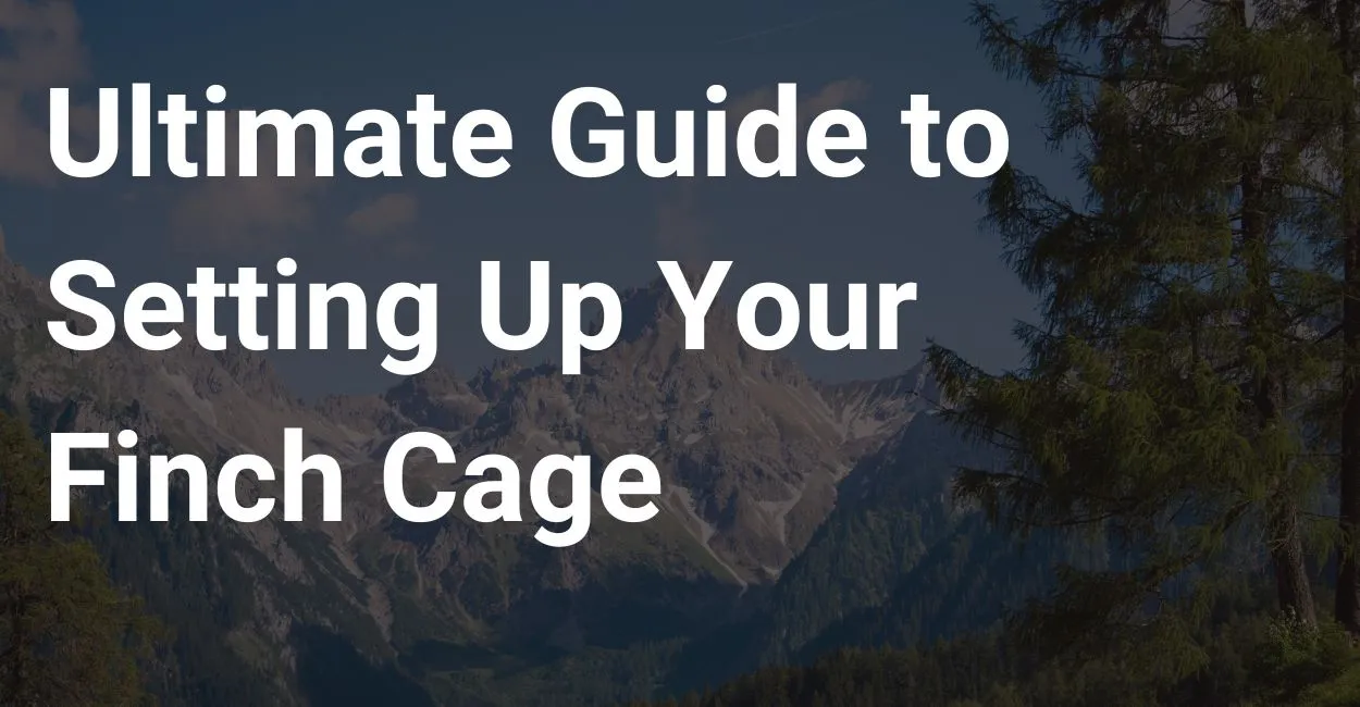 The Ultimate Guide to Setting Up Your Finch Cage: Creating a Happy Home for Your Feathered Friends