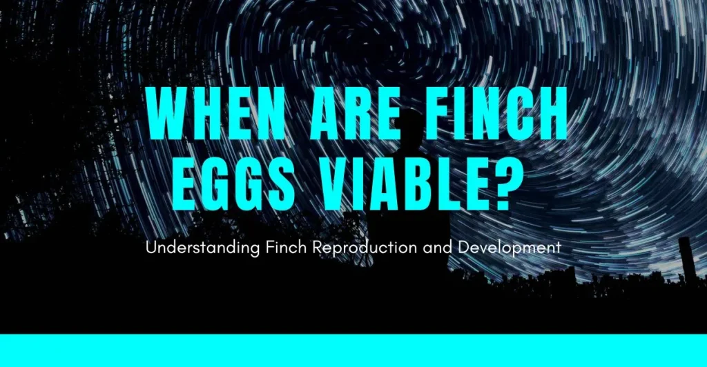 Finch Eggs Viable