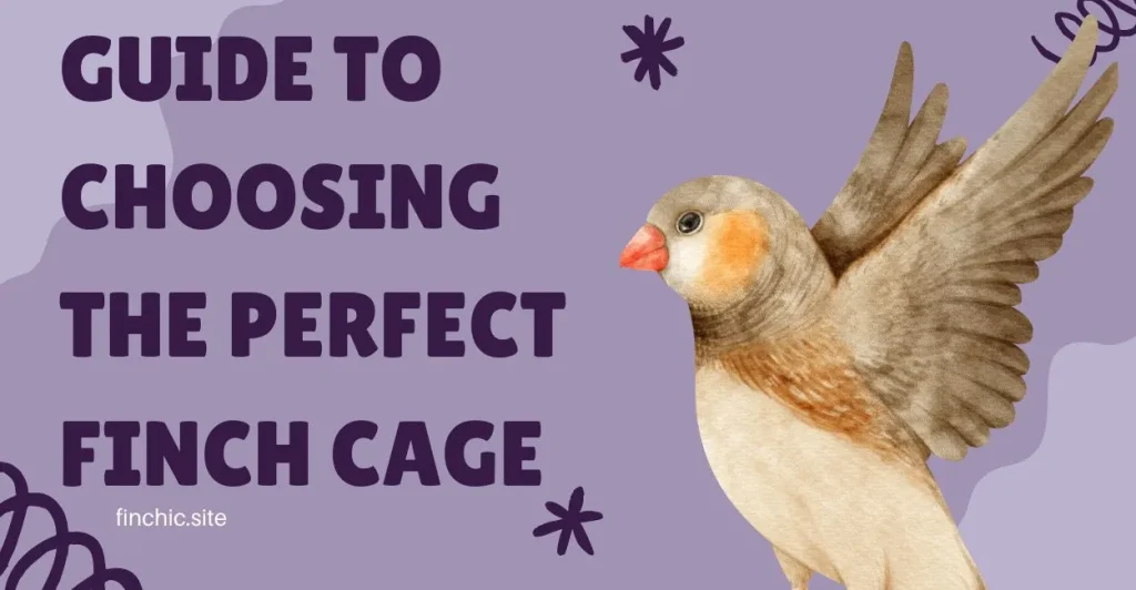 finch cage