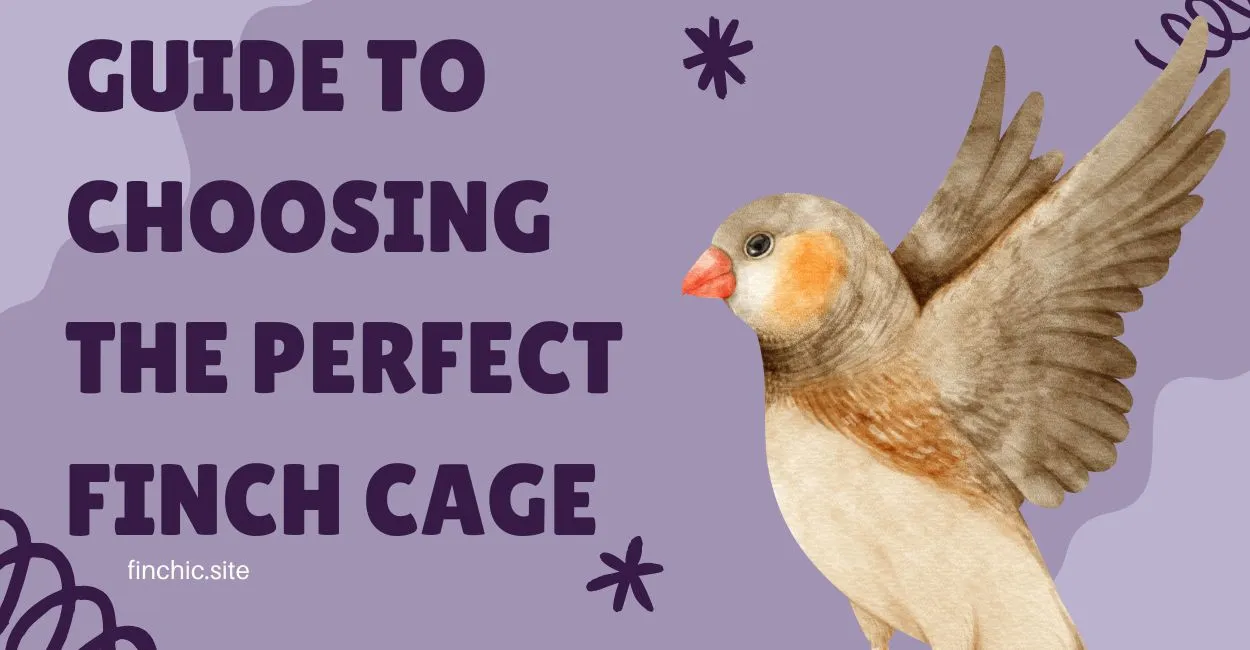 The Ultimate Guide to Choosing the Perfect Finch Cage: Spoil Your Feathered Friends!