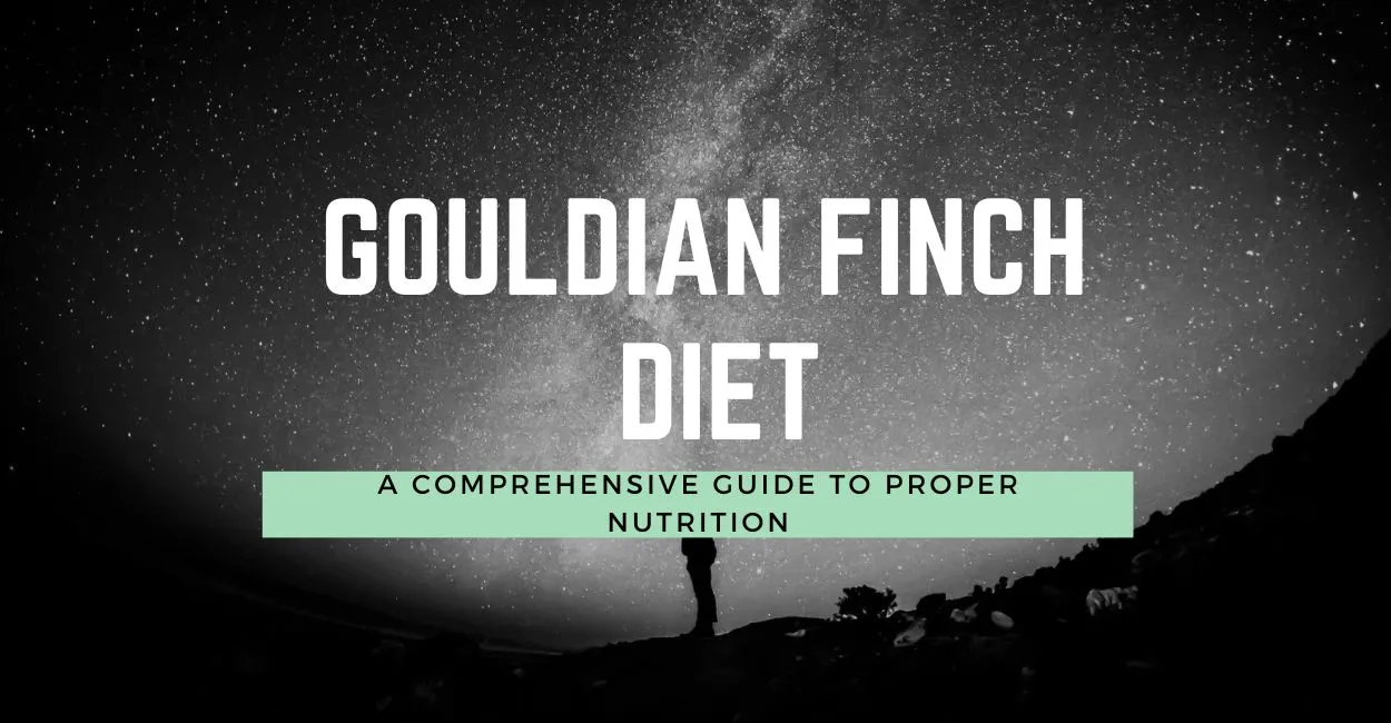 Gouldian Finch Diet: Complete Nutrition Guide